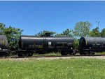 CAOX 300495